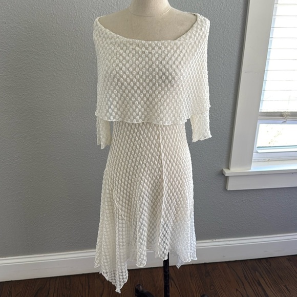 Chelsea & Theodore Dresses & Skirts - Mesh Lace dress Size Large Assymetric hemline